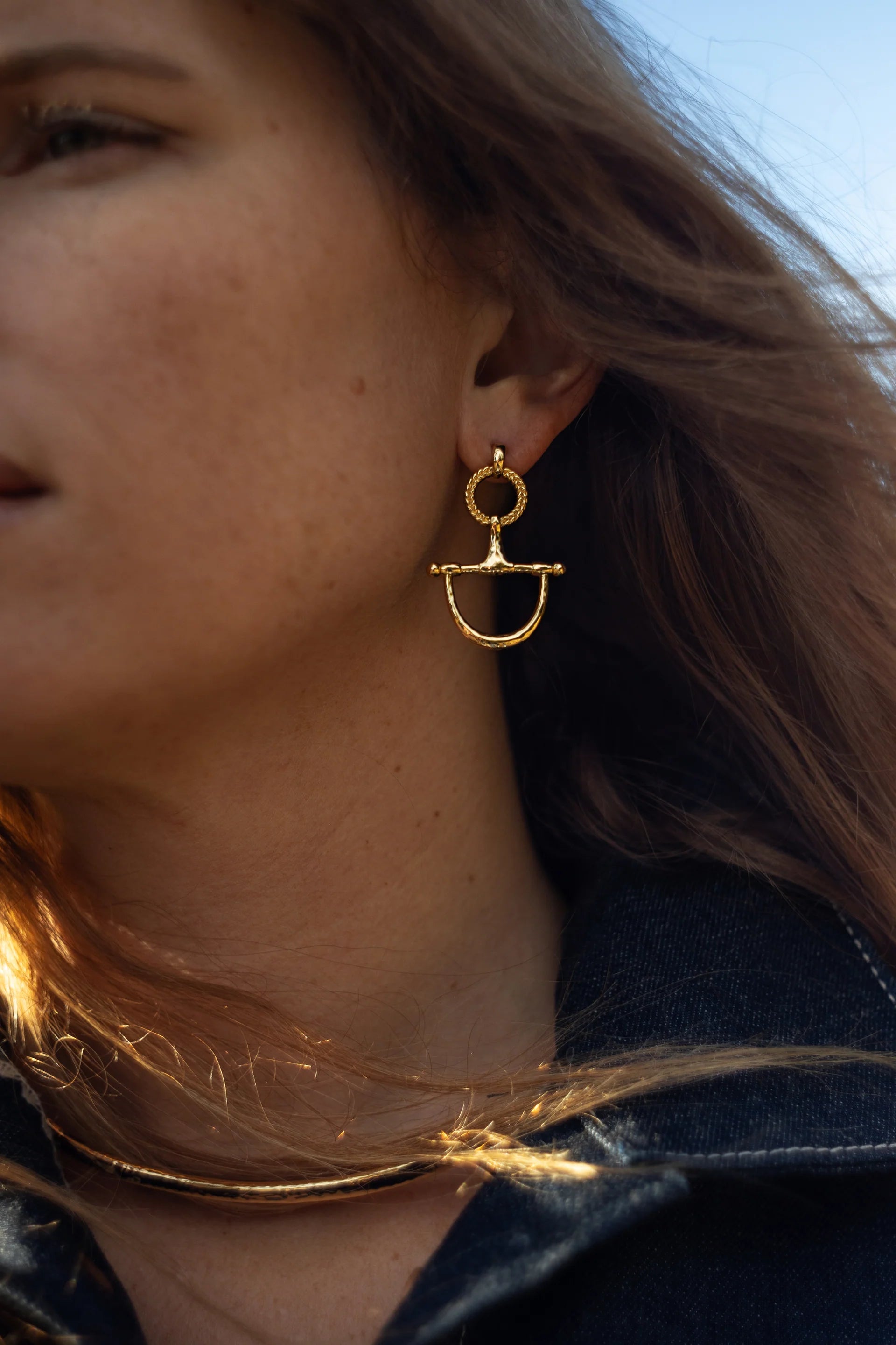 Cheval Bit Drop Earrings, Silver