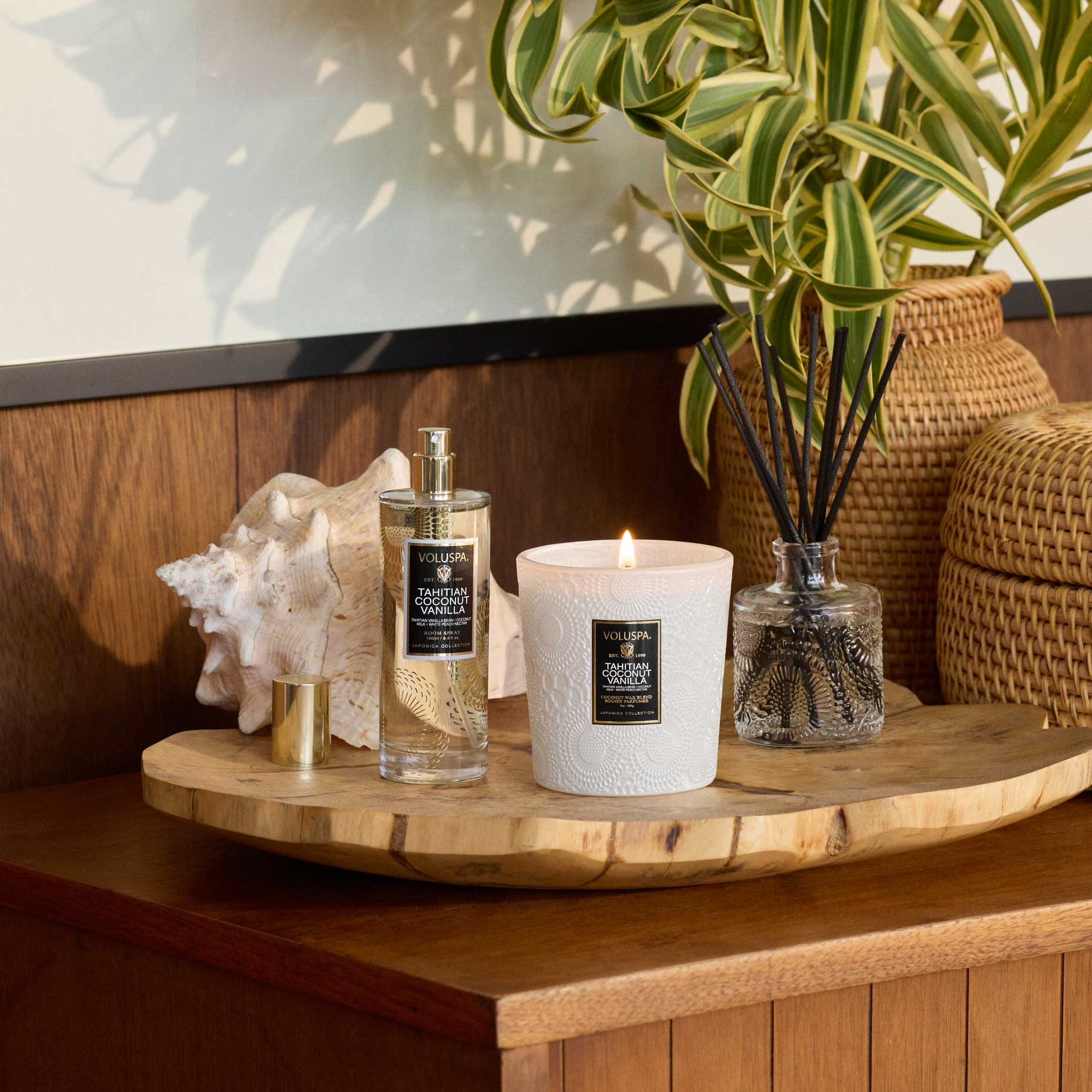 Tahitian Coconut Vanilla Classic Candle