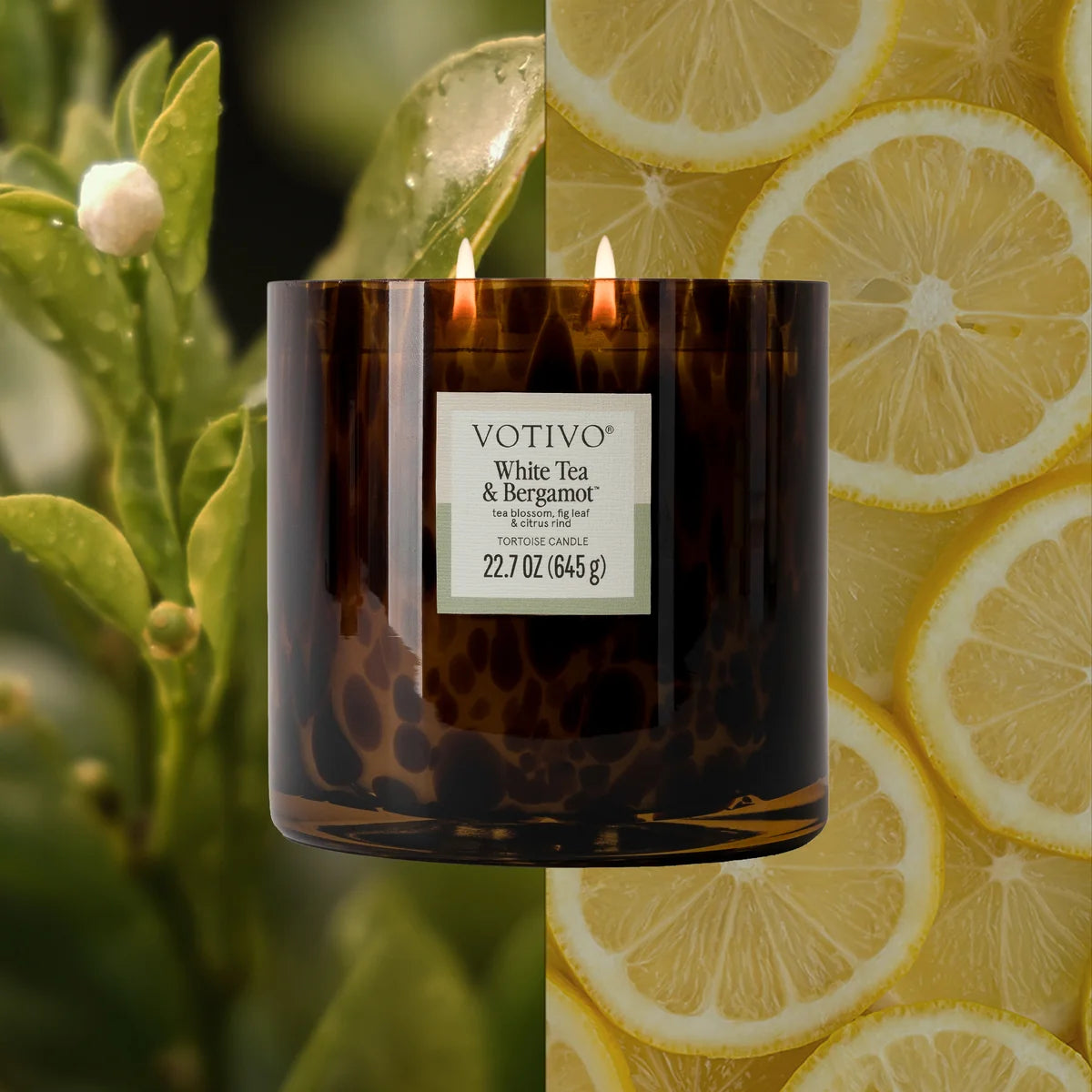 White Tea & Bergamot Tortoise Candle
