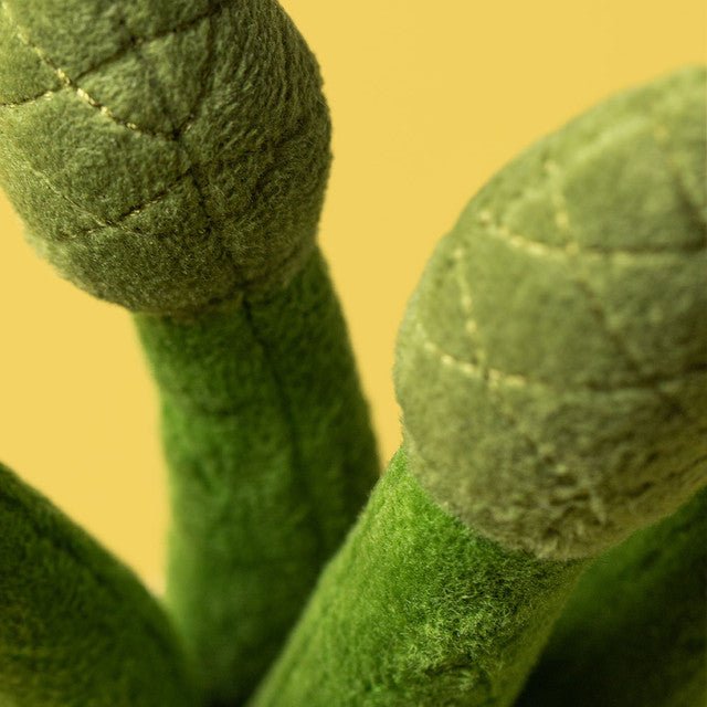 Amuseables Asparagus - Robert's-JELLYCAT-Robert's