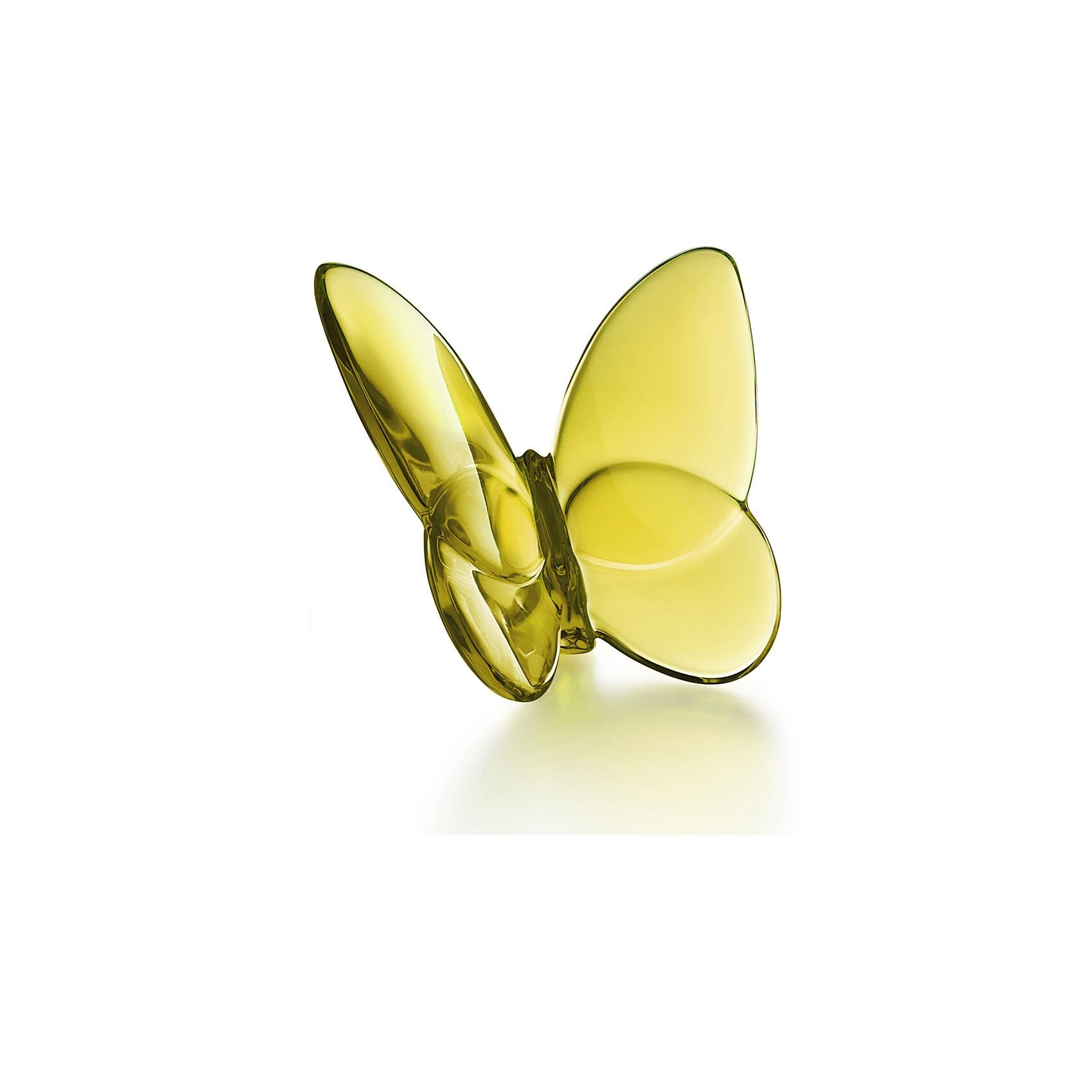 Lucky Butterfly Amber