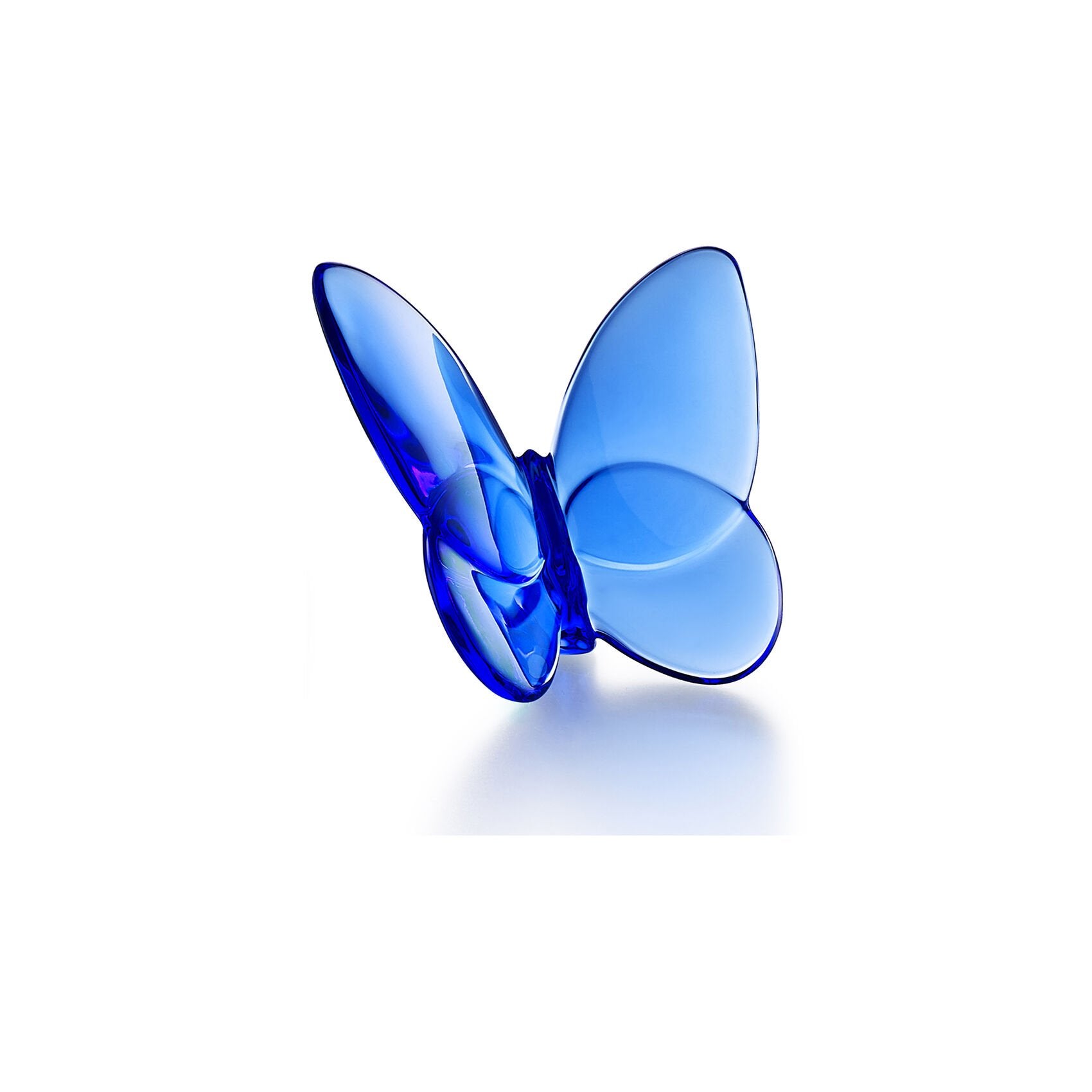 Lucky Butterfly Blue