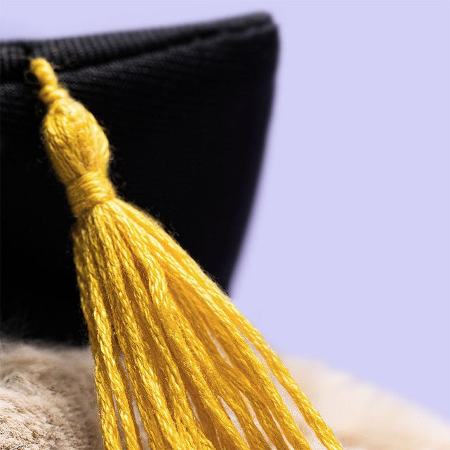 Bashful Bunny Graduation Outfit - Robert's-JELLYCAT-Robert's