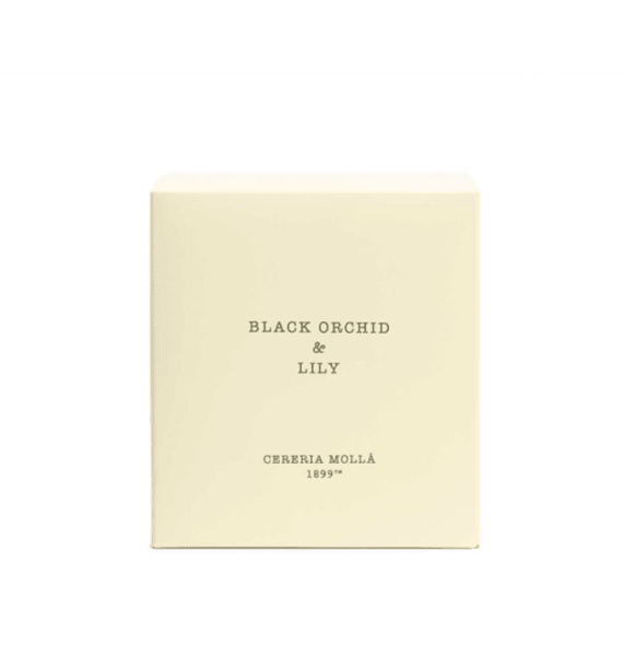 Black Orchid Ivory 3 Wick Candle - Robert's-Cereria Molla 1899-Robert's