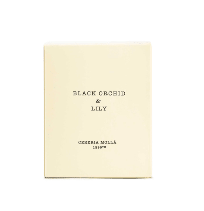 Black Orchid Ivory Candle 8oz - Robert's-Cereria Molla 1899-Robert's