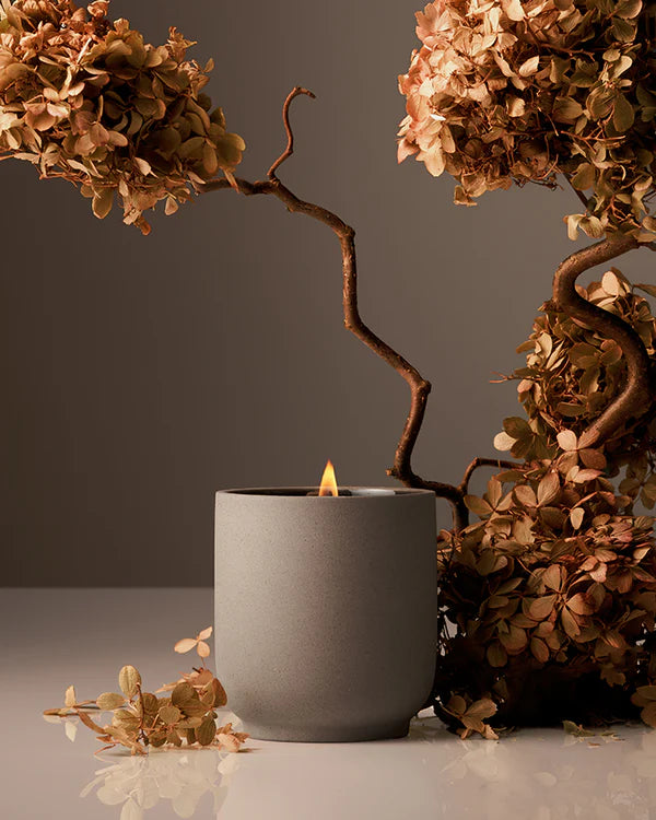 Signature Candle Cece