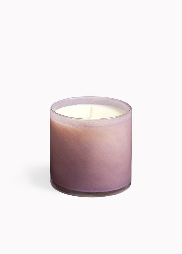 Midnight Cactus House & Home® Collection | Desert House