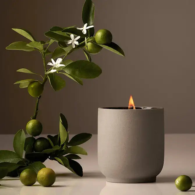 Signature Candle Neroli Leaf
