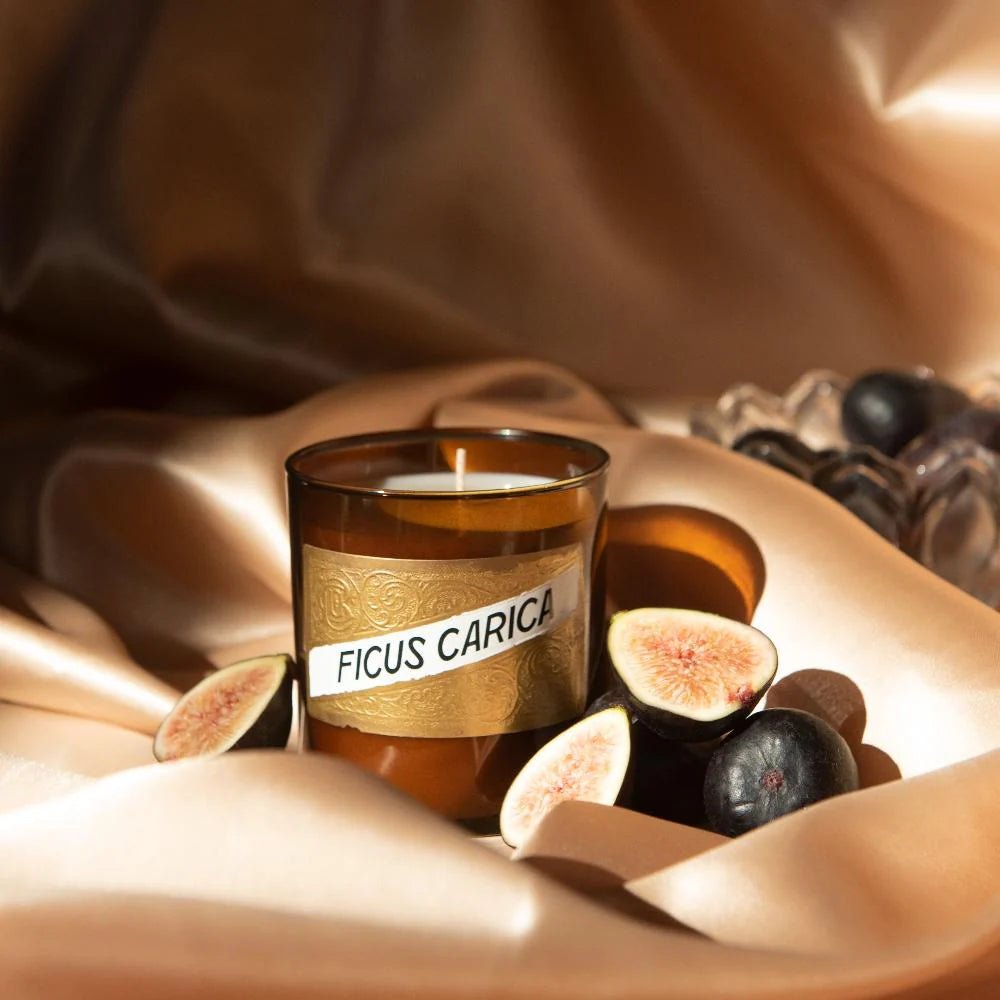 Fig (Ficus Carica) Candle - Robert's-CO Bigelow-Robert's