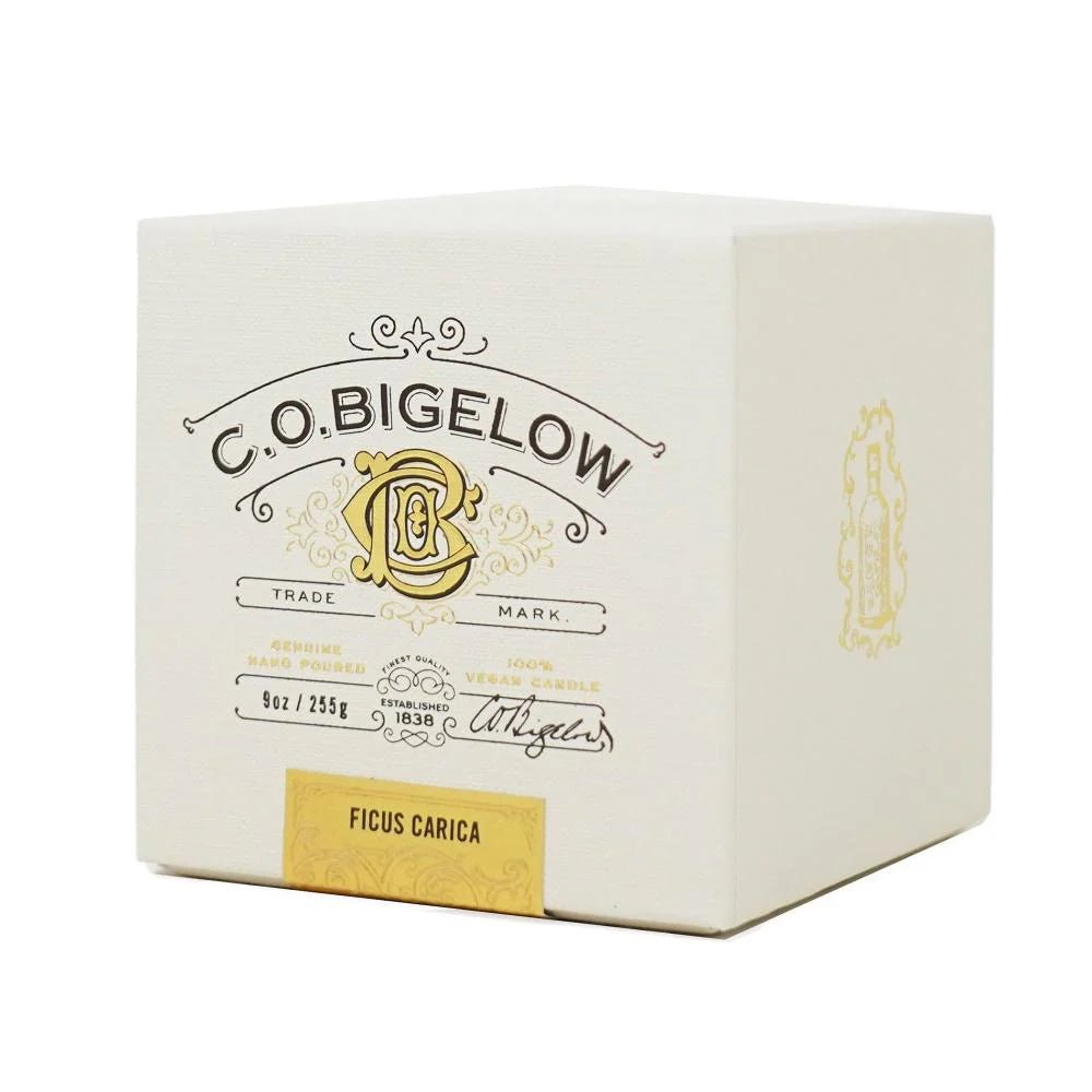 Fig (Ficus Carica) Candle - Robert's-CO Bigelow-Robert's