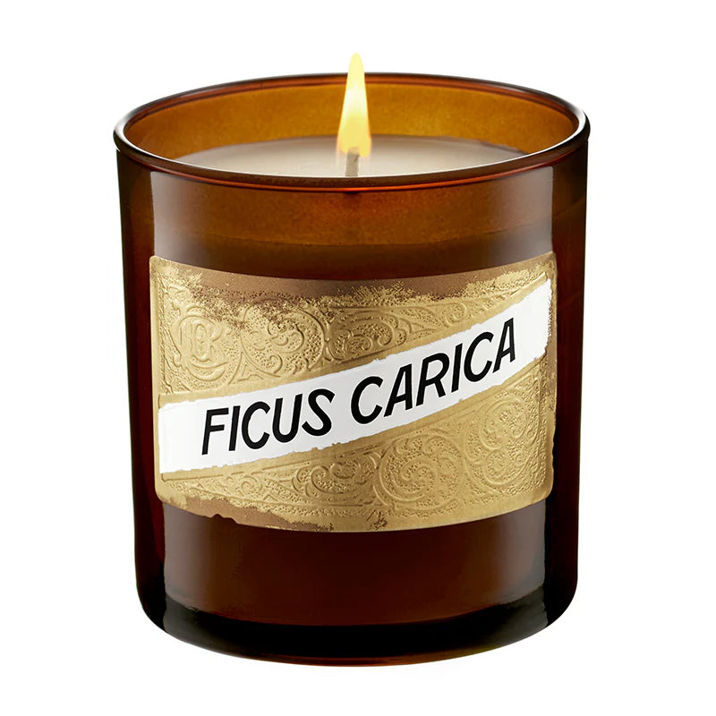Fig (Ficus Carica) Candle
