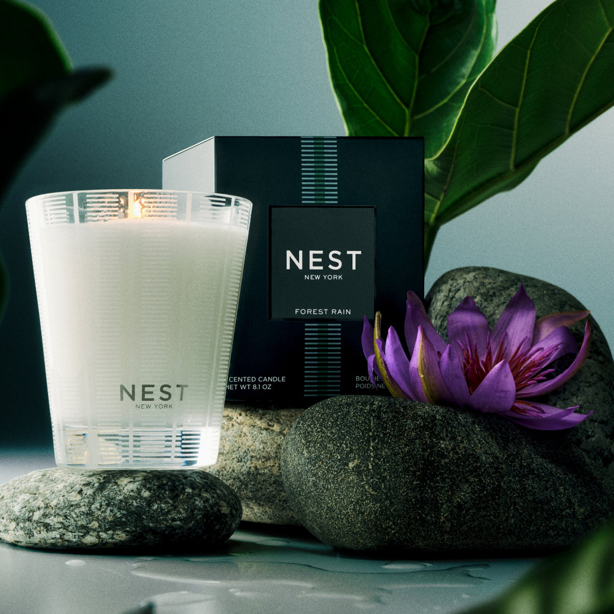 Forest Rain Classic Candle - Robert's-NEST New York-Robert's