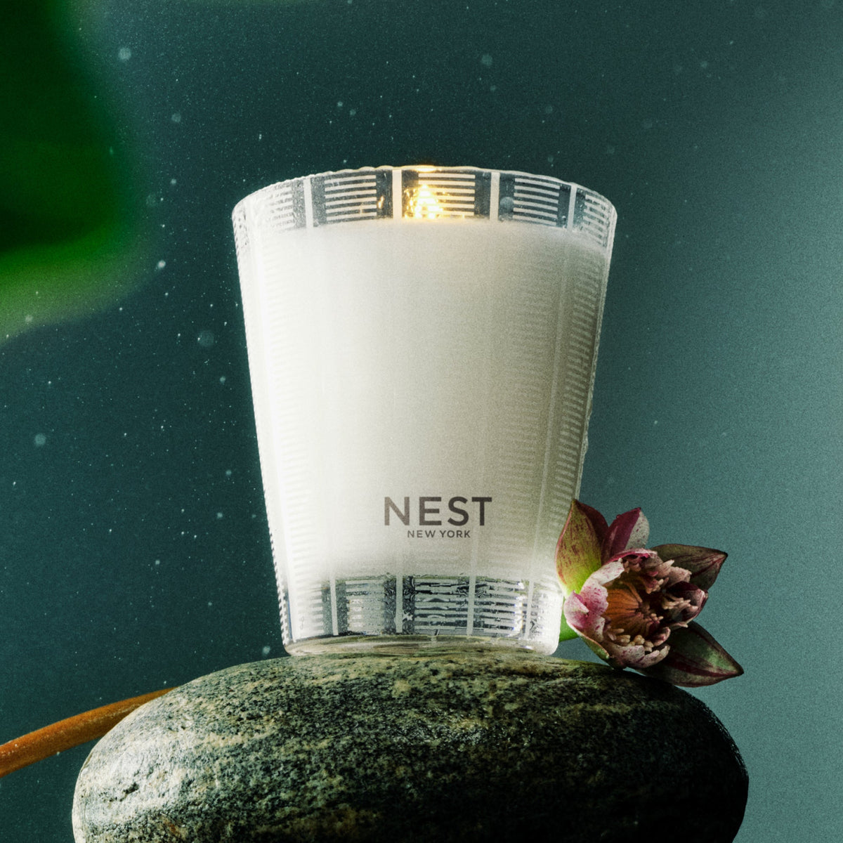Forest Rain Classic Candle - Robert's-NEST New York-Robert's