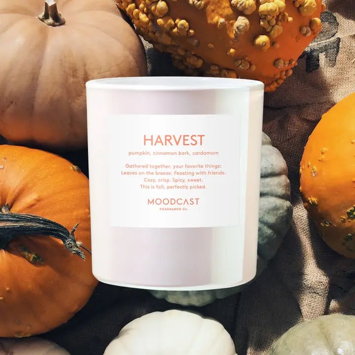 Harvest Candle - Robert's-Moodcast Fragrance-Robert's