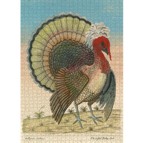 John Derian Puzzle Crested Turkey - Robert's-HACHETTE BOOK GROUP-Robert's
