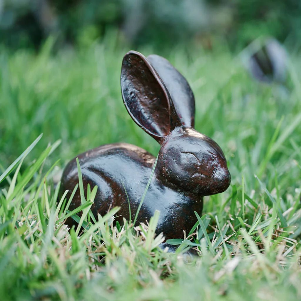 Liebre Bunny Rabbit - Robert's-Jan Barboglio-Robert's