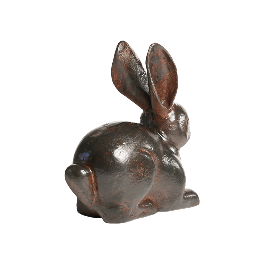 Liebre Bunny Rabbit - Robert's-Jan Barboglio-Robert's