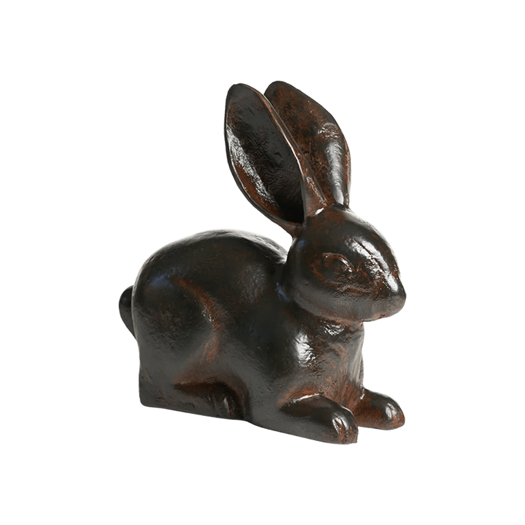 Liebre Bunny Rabbit - Robert's-Jan Barboglio-Robert's