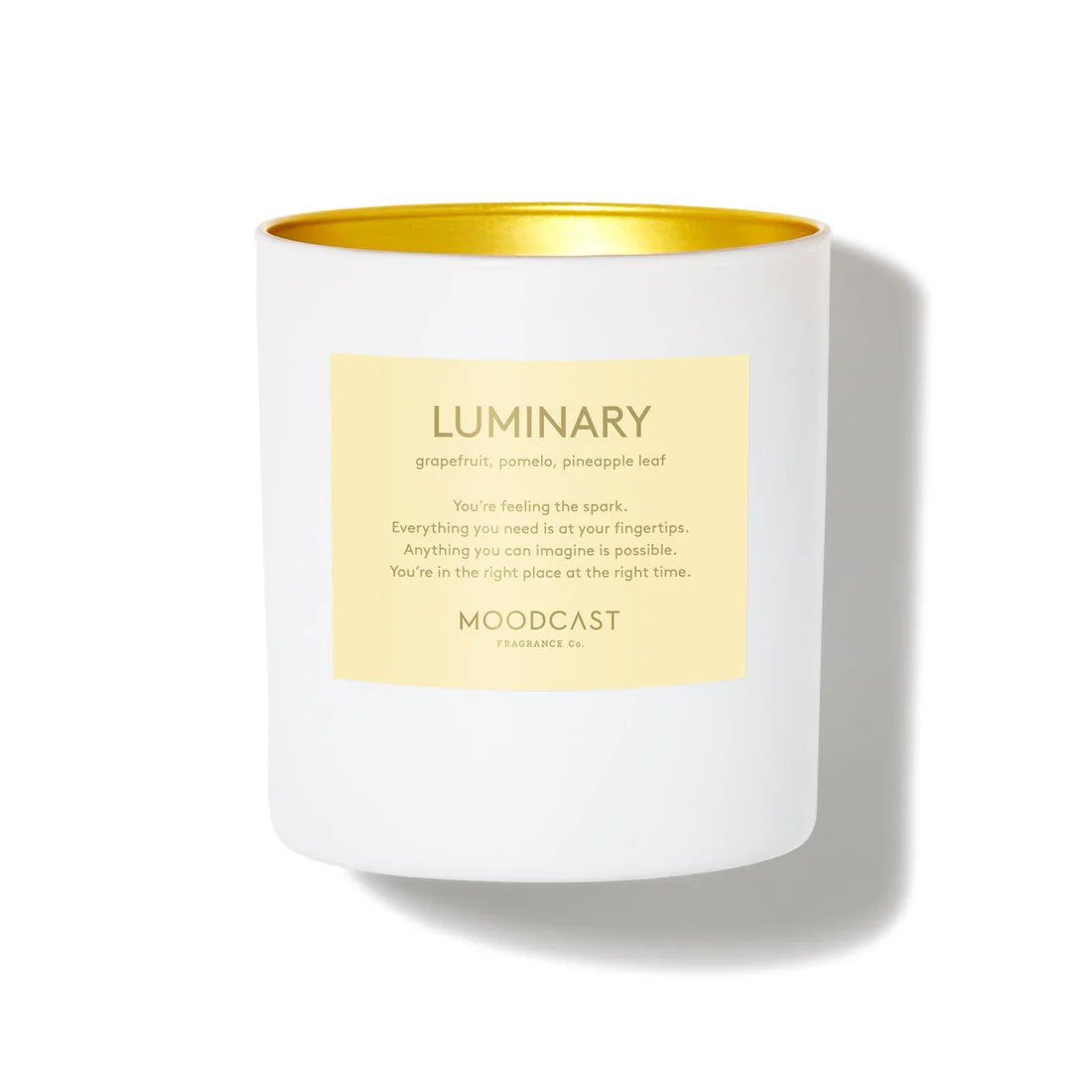 Luminary 8oz Candle - Robert's-Moodcast Fragrance-Robert's
