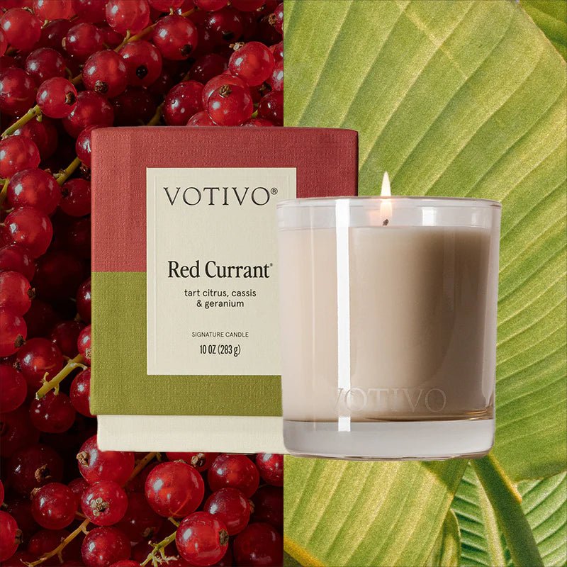 Red Currant 10 oz. Signature Candle - Robert's-VOTIVO-Robert's