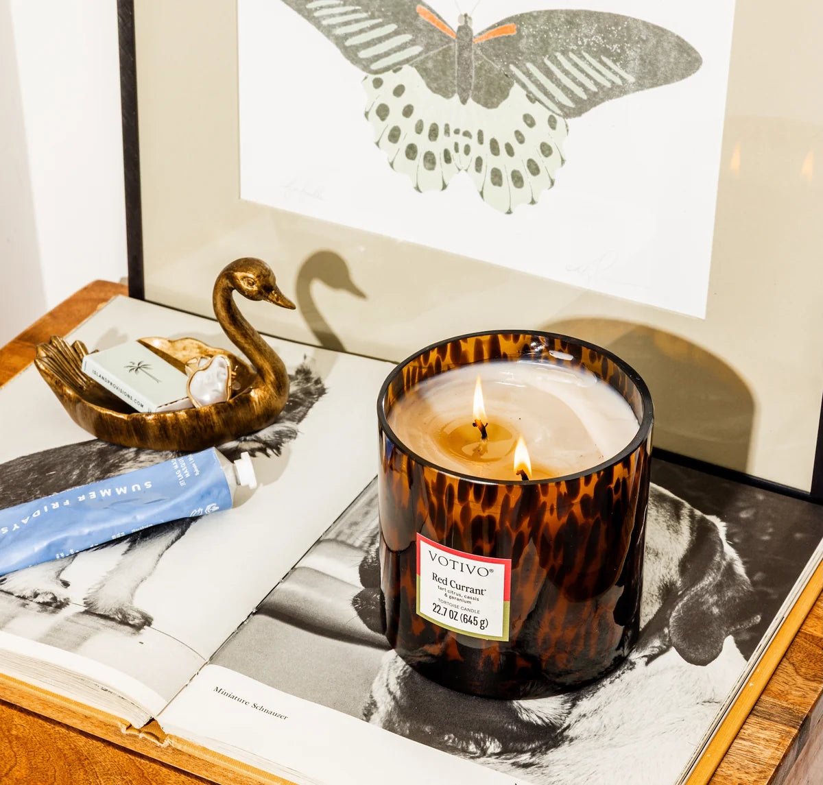 Red Currant Tortoise Candle - Robert's-VOTIVO-Robert's