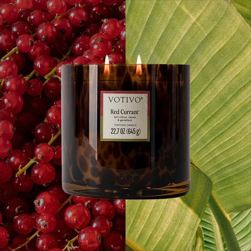 Red Currant Tortoise Candle - Robert's-VOTIVO-Robert's