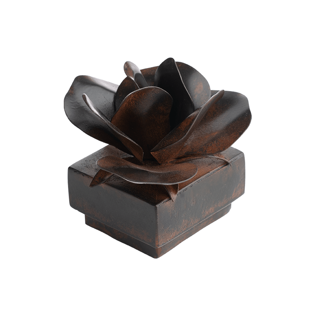 Rosa Box - Robert's-Jan Barboglio-Robert's