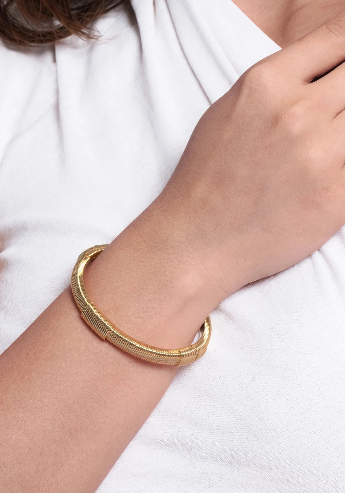Anabel Aram-Safari Hinged Bangle - Robert's