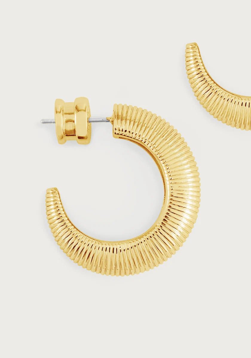 Safari Hoops - Robert's-Anabel Aram-Robert's