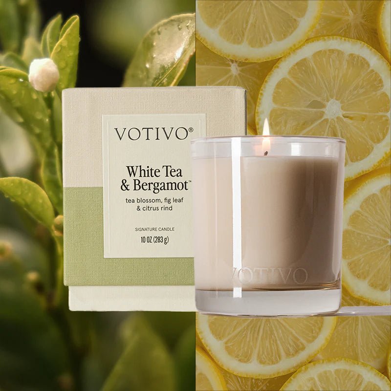 White Tea & Bergamot 10 oz. Signature Candle - Robert's-VOTIVO-Robert's